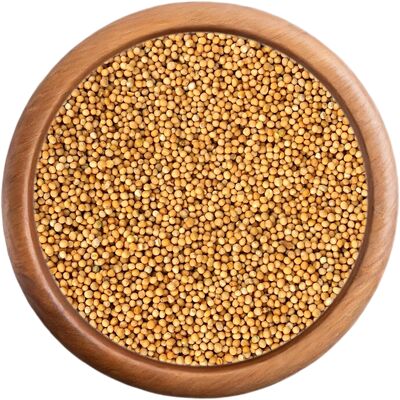 Musztarda biała cała ekologiczna - 100 g